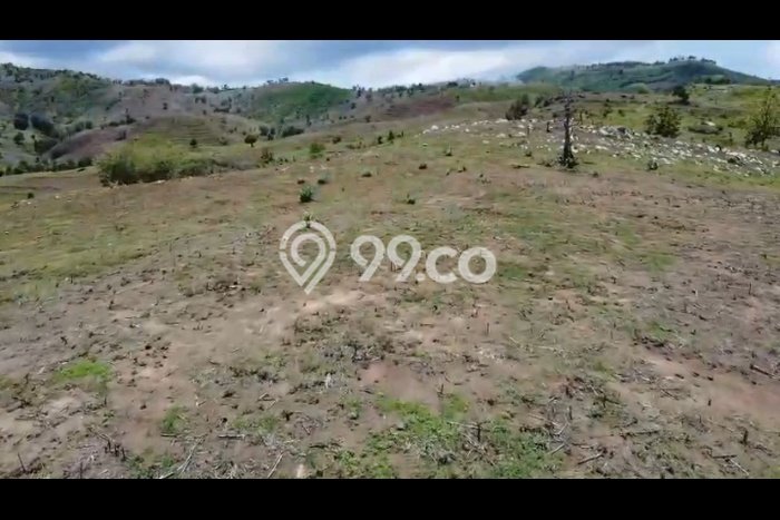 Lahan untuk Dijual di Sekotong Lombok Barat Luas 250000m2 Lahan untuk Dijual di Sekotong Lombok Barat Luas 250000m2
