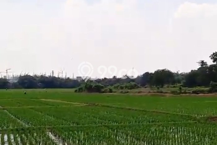 Lahan Dijual Lokasi Pabuaran, Subang dengan Luas Tanah 45000m2 dan Status SHM Lahan Dijual Lokasi Pabuaran, Subang dengan Luas Tanah 45000m2 dan Status SHM