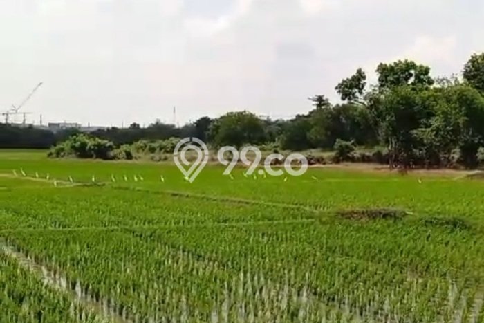 Lahan Dijual Lokasi Pabuaran, Subang dengan Luas Tanah 45000m2 dan Status SHM Lahan Dijual Lokasi Pabuaran, Subang dengan Luas Tanah 45000m2 dan Status SHM