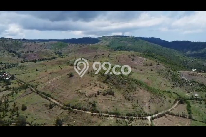 Lahan untuk Dijual di Sekotong Lombok Barat Luas 250000m2 Lahan untuk Dijual di Sekotong Lombok Barat Luas 250000m2