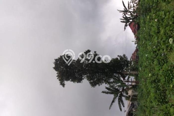Lahan Investasi Lokasi Buleleng Buleleng SHM Lahan Investasi Lokasi Buleleng Buleleng SHM
