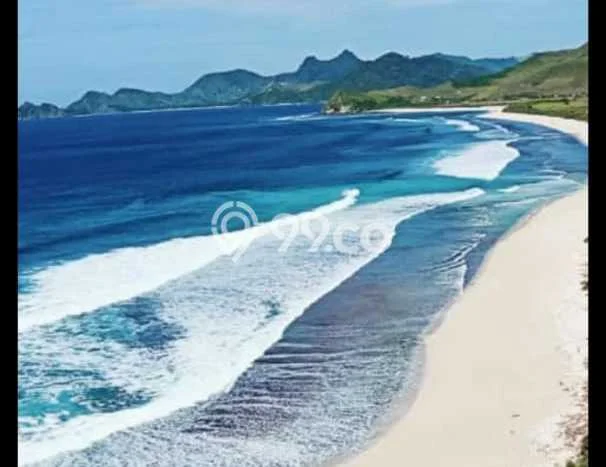 Tanah Siap Bangun Dijual di Lombok Barat Punya Luas 15000m2 Tanah Siap Bangun Dijual di Lombok Barat Punya Luas 15000m2