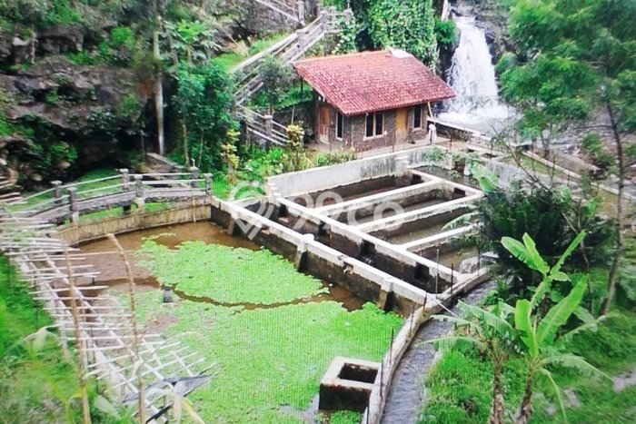 Lahan Strategis di Ciater Dijual dengan Luas 5000m2 Lahan Strategis di Ciater Dijual dengan Luas 5000m2