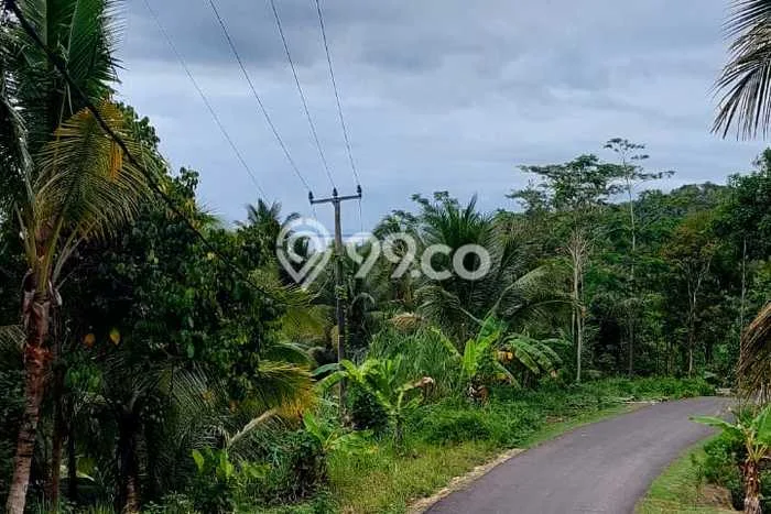 Tanah Kavling Dijual di Ciamis dengan Spesifikasi 1050m2 Tanah Kavling Dijual di Ciamis dengan Spesifikasi 1050m2