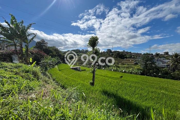 Tanah Siap Bangun Dijual di Bandung Punya Luas 6732m2 Tanah Siap Bangun Dijual di Bandung Punya Luas 6732m2