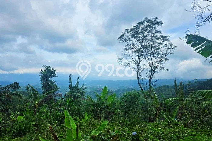 Lahan Dijual Lokasi Strategis di Buleleng dengan Luas 1000m2 Lahan Dijual Lokasi Strategis di Buleleng dengan Luas 1000m2