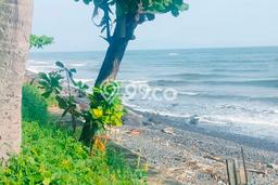 Kavling Tanah di Kubutambahan Dijual Luas 2700m2 Legalitas SHM Kavling Tanah di Kubutambahan Dijual Luas 2700m2 Legalitas SHM