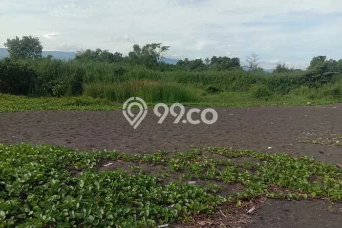 Tanah Dijual Lokasi Strategis di Buleleng dengan Luas 23910m2 Tanah Dijual Lokasi Strategis di Buleleng dengan Luas 23910m2