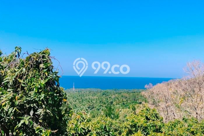 Kavling Tanah untuk Dijual di Madenan, Buleleng, Luas 2800m2 Kavling Tanah untuk Dijual di Madenan, Buleleng, Luas 2800m2