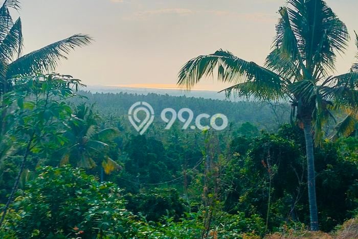 Tanah Dijual di Buleleng Seluas 2040m2 Strategis Tanah Dijual di Buleleng Seluas 2040m2 Strategis