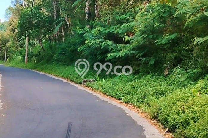 Tanah Dijual di Buleleng Seluas 5400m2 Strategis Tanah Dijual di Buleleng Seluas 5400m2 Strategis