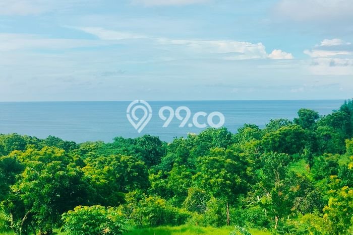 Tanah Kavling Dijual di Buleleng dengan Spesifikasi 8000m2 Tanah Kavling Dijual di Buleleng dengan Spesifikasi 8000m2
