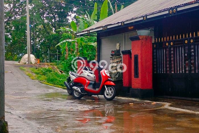 For Sale Hunian Rumah Terawat 2 KT di Wanagiri, Buleleng For Sale Hunian Rumah Terawat 2 KT di Wanagiri, Buleleng