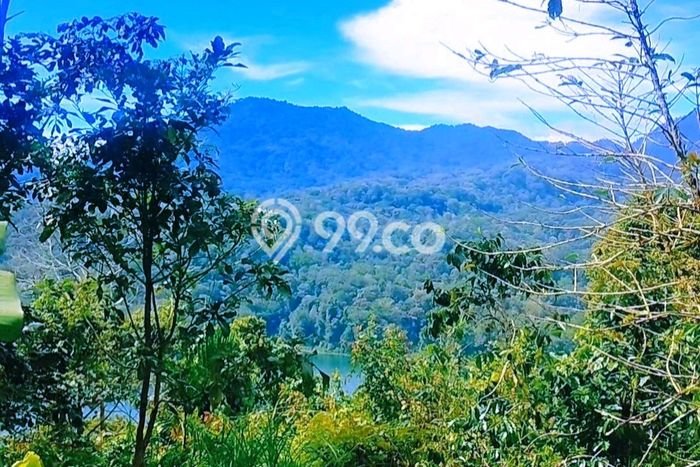 Kavling Tanah untuk Dijual di Munduk, Buleleng, Luas 5000m2 Kavling Tanah untuk Dijual di Munduk, Buleleng, Luas 5000m2