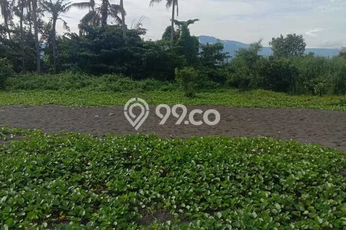 Tanah Dijual Lokasi Strategis di Buleleng dengan Luas 23910m2 Tanah Dijual Lokasi Strategis di Buleleng dengan Luas 23910m2