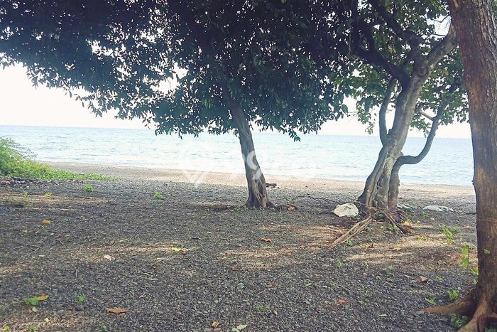 Jarang Ada! Tanah di Kubutambahan Punya Luas 6400m2 SHM Jarang Ada! Tanah di Kubutambahan Punya Luas 6400m2 SHM