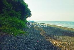Kavling Tanah Dijual di Kubutambahan, Buleleng, Luas 6400m2 Area Strategis Kavling Tanah Dijual di Kubutambahan, Buleleng, Luas 6400m2 Area Strategis