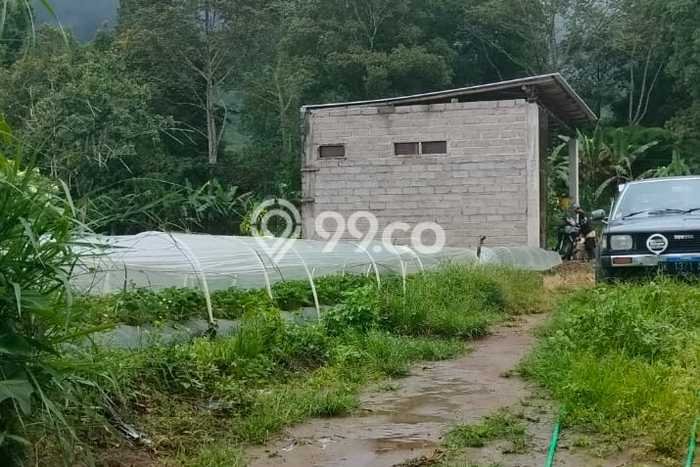 Tanah Dijual di Buleleng Seluas 650m2 Strategis Tanah Dijual di Buleleng Seluas 650m2 Strategis