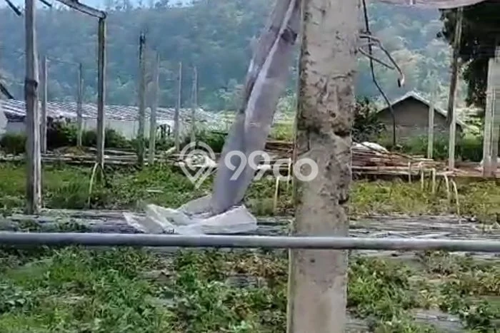 Tanah Dijual Area Strategis di Pancasari Buleleng 1000m2 Tanah Dijual Area Strategis di Pancasari Buleleng 1000m2