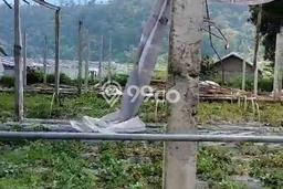 Tanah Dijual Area Strategis di Pancasari Buleleng 1000m2 Tanah Dijual Area Strategis di Pancasari Buleleng 1000m2