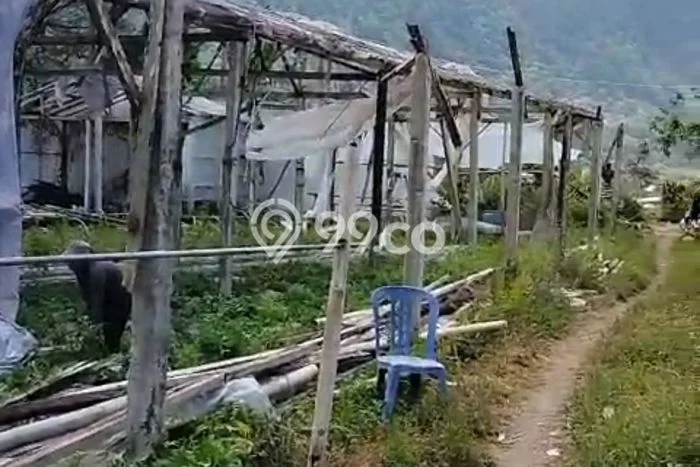 Tanah Dijual Area Strategis di Pancasari Buleleng 1000m2 Tanah Dijual Area Strategis di Pancasari Buleleng 1000m2