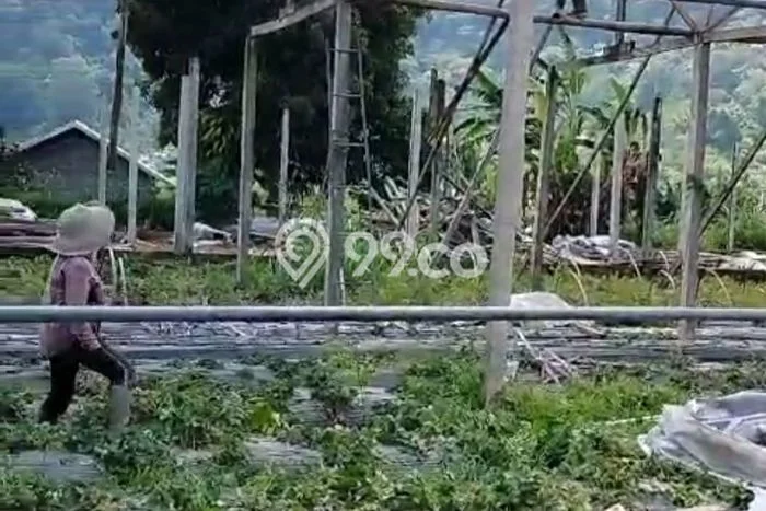 Tanah Dijual Area Strategis di Pancasari Buleleng 1000m2 Tanah Dijual Area Strategis di Pancasari Buleleng 1000m2