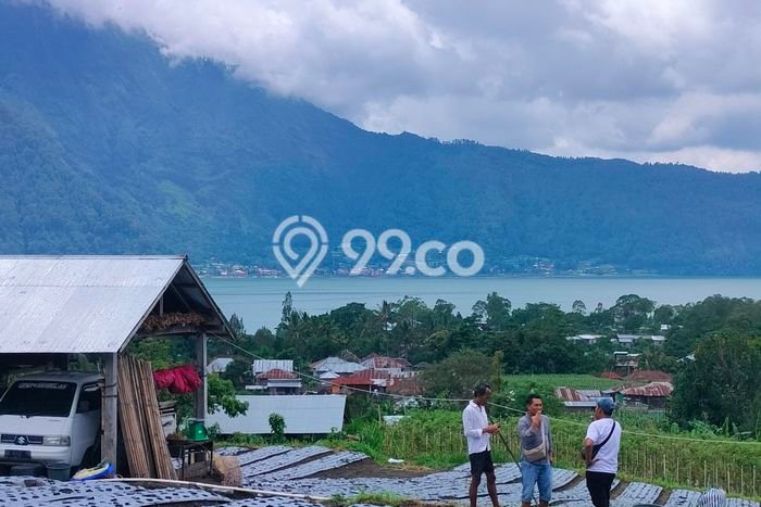 Tanah Kavling di Kintamani Dijual dengan Luas 4300m2 Tanah Kavling di Kintamani Dijual dengan Luas 4300m2