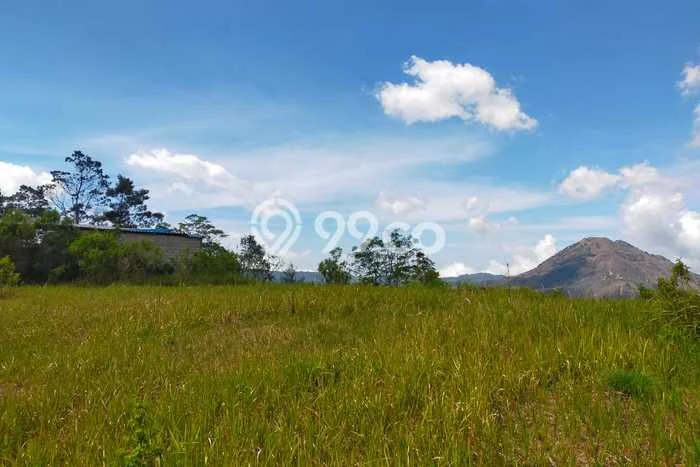 Tanah Dijual Area Strategis di Batur Tengah Bangli 1000m2 Tanah Dijual Area Strategis di Batur Tengah Bangli 1000m2