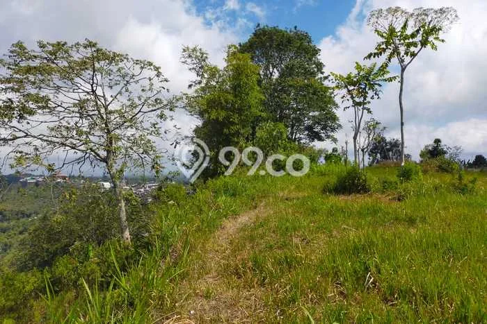 Tanah Dijual Area Strategis di Batur Tengah Bangli 1000m2 Tanah Dijual Area Strategis di Batur Tengah Bangli 1000m2