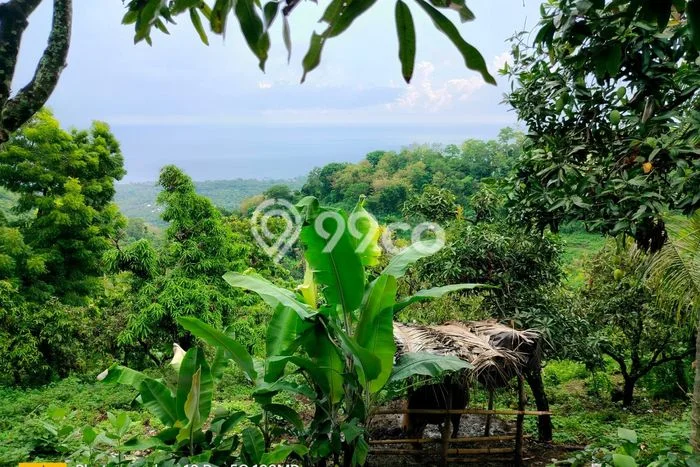 Lahan Dijual Lokasi Strategis di Buleleng dengan Luas 7500m2 Lahan Dijual Lokasi Strategis di Buleleng dengan Luas 7500m2