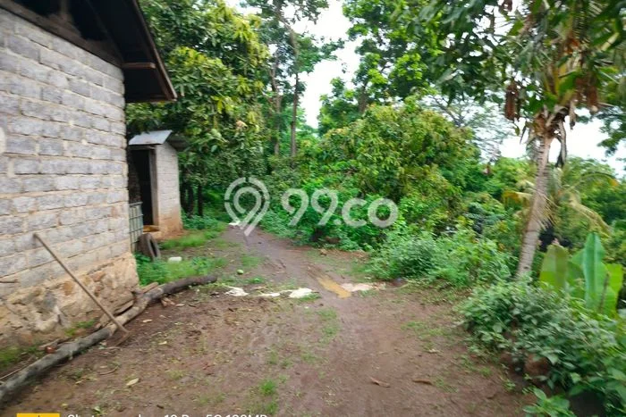 Lahan Dijual Lokasi Strategis di Buleleng dengan Luas 7500m2 Lahan Dijual Lokasi Strategis di Buleleng dengan Luas 7500m2