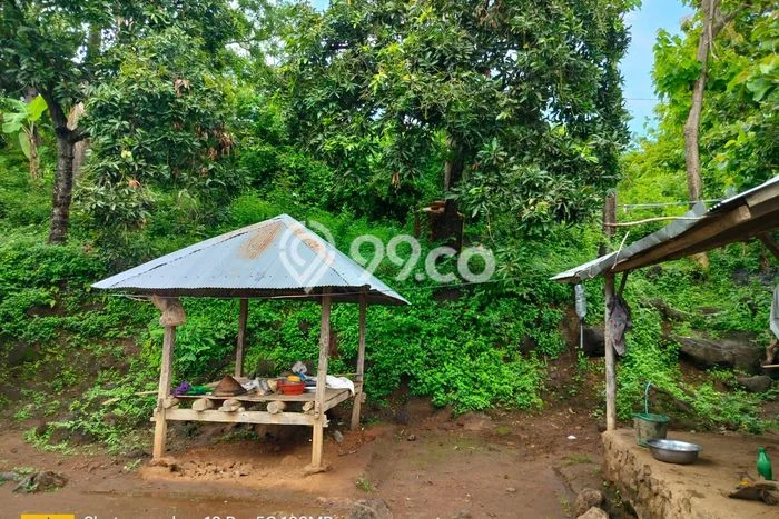 Lahan Dijual Lokasi Strategis di Buleleng dengan Luas 7500m2 Lahan Dijual Lokasi Strategis di Buleleng dengan Luas 7500m2