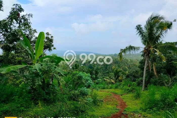 Dijual Tanah Lokasi Depeha, Buleleng Seluas 3000m2 Dijual Tanah Lokasi Depeha, Buleleng Seluas 3000m2