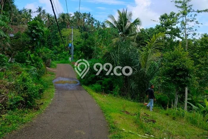 Tanah Siap Bangun Dijual di Buleleng Punya Luas 1800m2 Tanah Siap Bangun Dijual di Buleleng Punya Luas 1800m2