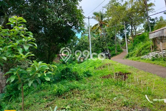 Tanah Siap Bangun Dijual di Buleleng Punya Luas 1800m2 Tanah Siap Bangun Dijual di Buleleng Punya Luas 1800m2