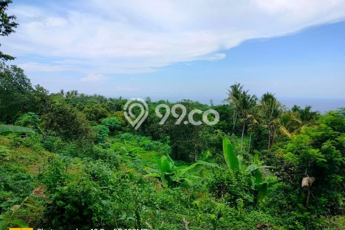 Dijual Tanah di Buleleng, Luas 3100m2 SHM Dijual Tanah di Buleleng, Luas 3100m2 SHM