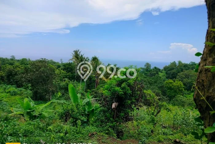 Dijual Tanah di Buleleng, Luas 3100m2 SHM Dijual Tanah di Buleleng, Luas 3100m2 SHM