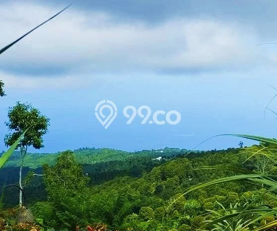 Untuk Dijual Tanah di Buleleng, Luas 4800m2 SHM Untuk Dijual Tanah di Buleleng, Luas 4800m2 SHM