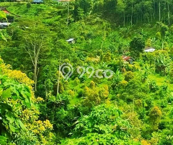 Untuk Dijual Tanah di Buleleng, Luas 4800m2 SHM Untuk Dijual Tanah di Buleleng, Luas 4800m2 SHM