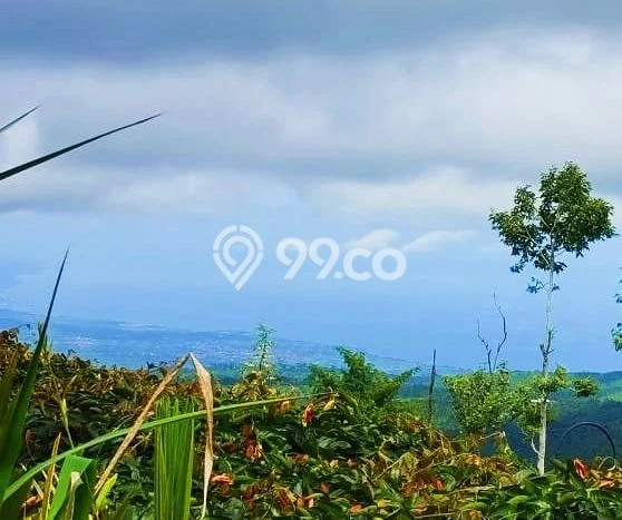 Untuk Dijual Tanah di Buleleng, Luas 4800m2 SHM Untuk Dijual Tanah di Buleleng, Luas 4800m2 SHM