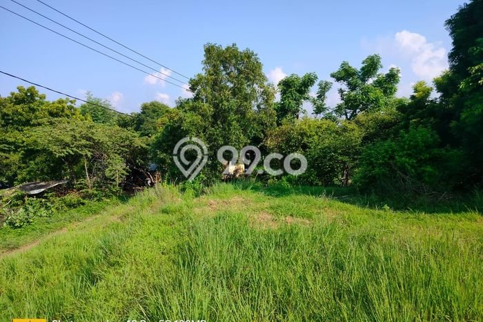 Tanah Dijual Lokasi Kubutambahan, Buleleng Luas 12000m2 Legalitas Aman Tanah Dijual Lokasi Kubutambahan, Buleleng Luas 12000m2 Legalitas Aman