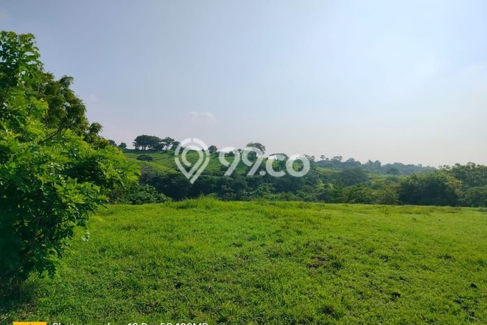 Tanah Dijual Lokasi Kubutambahan, Buleleng Luas 12000m2 Legalitas Aman Tanah Dijual Lokasi Kubutambahan, Buleleng Luas 12000m2 Legalitas Aman