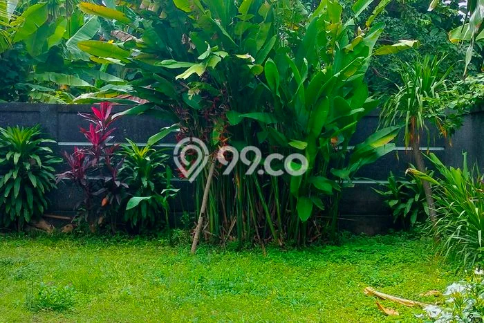 Rumah Modern 2 KT di Lovina Buleleng Unfurnished Rumah Modern 2 KT di Lovina Buleleng Unfurnished