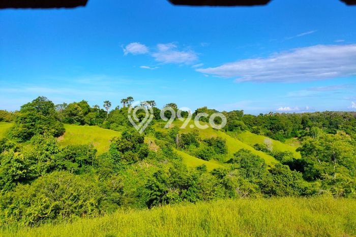 Tanah Kavling di Kubutambahan Dijual dengan Luas 12000m2 Tanah Kavling di Kubutambahan Dijual dengan Luas 12000m2