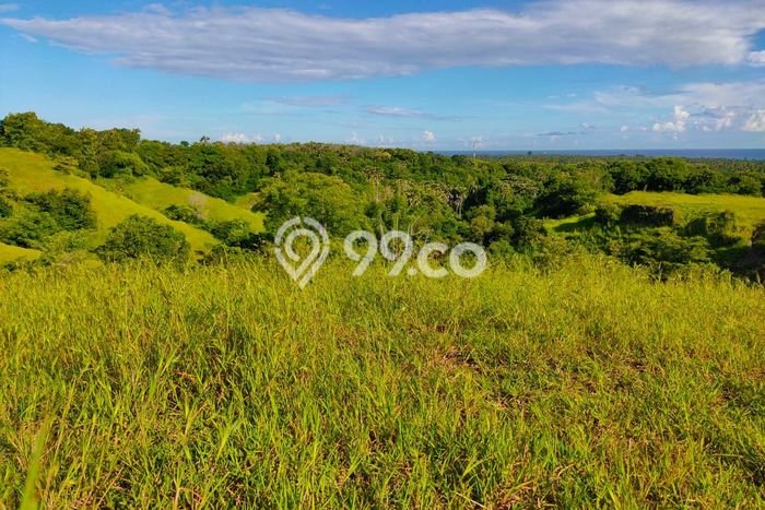 Tanah Kavling di Kubutambahan Dijual dengan Luas 12000m2 Tanah Kavling di Kubutambahan Dijual dengan Luas 12000m2