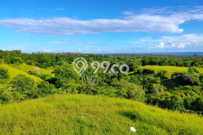 Tanah Kavling di Kubutambahan Dijual dengan Luas 12000m2 Tanah Kavling di Kubutambahan Dijual dengan Luas 12000m2