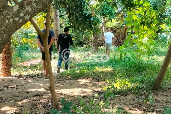 Lahan Investasi Lokasi Kubutambahan Buleleng SHM Lahan Investasi Lokasi Kubutambahan Buleleng SHM