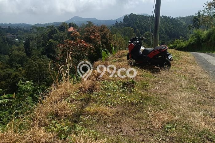 Dijual Tanah Lokasi Wanagiri, Buleleng Seluas 6200m2 Dijual Tanah Lokasi Wanagiri, Buleleng Seluas 6200m2