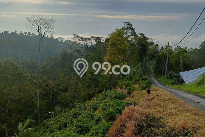Dijual Tanah Lokasi Wanagiri, Buleleng Seluas 6200m2 Dijual Tanah Lokasi Wanagiri, Buleleng Seluas 6200m2