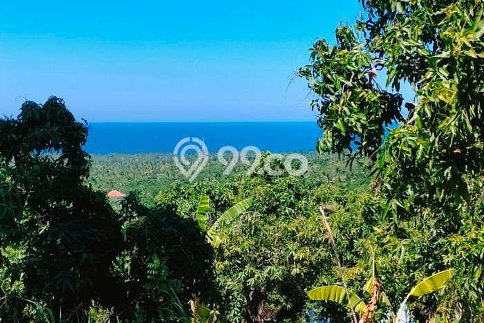 Tanah Kavling Dijual di Madenan, Buleleng dengan Luas Tanah 2800m2 Tanah Kavling Dijual di Madenan, Buleleng dengan Luas Tanah 2800m2